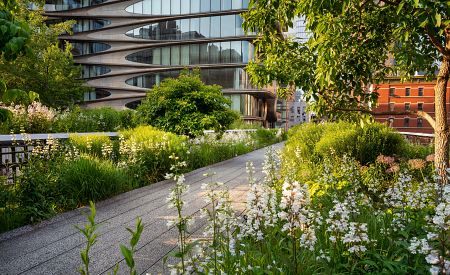 Dopřejte si procházku po promenádě unikátního parku High Line…