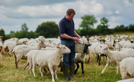 Poznejte práci na ovčí farmě uprostřed horské přírody Serra da Estrala…