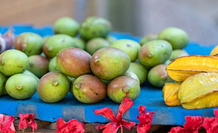 Na Seychelách určitě ochutnejte čerstvé mango…