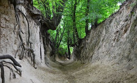 Projděte se výjimečnou sprašovou soutěskou Dolního Kaziměře…