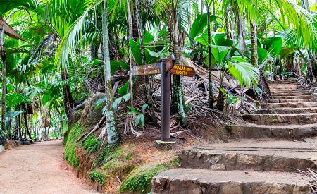 Rezervace Vallée de Mai s unikátními palmami na ostrově Praslin