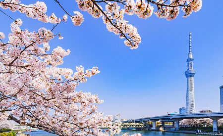 Nejvyšší stavba v Japonsku – proslulá věž Tokio Skytree