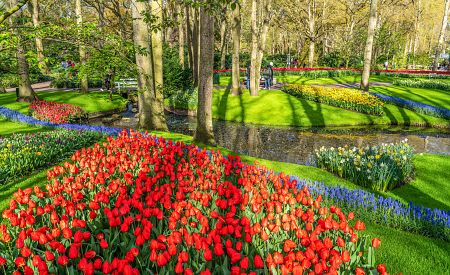 Procházka mezi nádhernými pestrobarevnými koberci květin v Keukenhofu