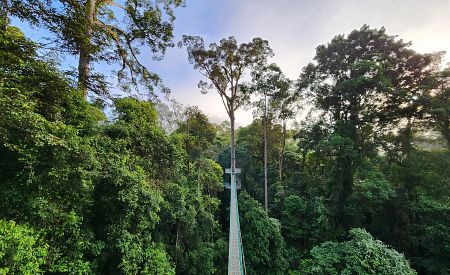 Divoká krása přírody chráněné oblasti Danum Valley