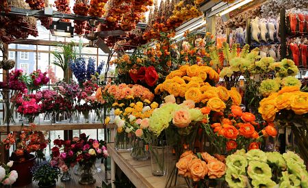 Květinový trh v Amsterdamu nezklame…