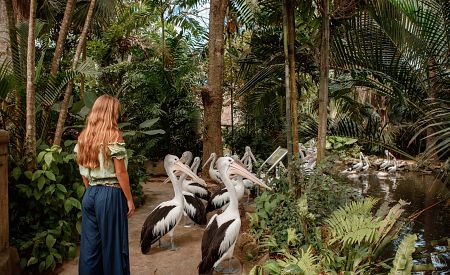 Největší ptačí park na Bali s volně žijícími exotickými druhy v tropické zahradě