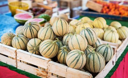 Slavné melouny z jihofrancouzského města Cavaillon