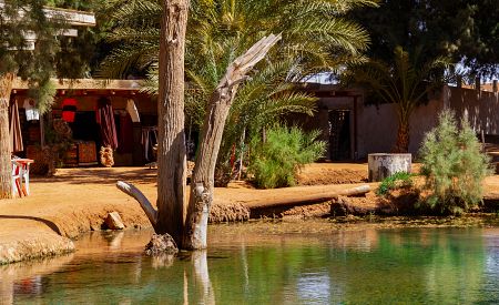 Ksar Ghilane – tichá tuniská oáza na okraji Sahary