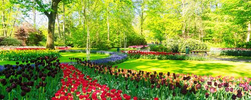 Holandsko / Nizozemsko