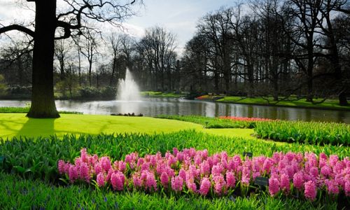 Keukenhof je největší květinový park v Evropě