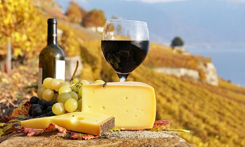 Francouzské sýry a víno