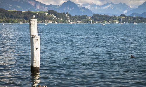 Jezero Lucern