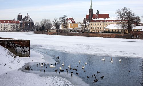 Zimní Wroclav