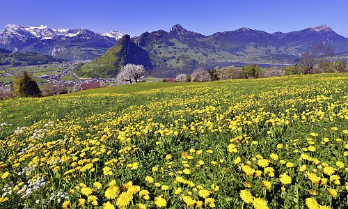 Schwyz - řada širokých údolí v předhůří Alp