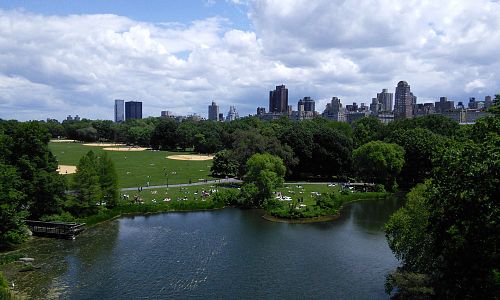 Výhled z parku na mrakodrapy metropole