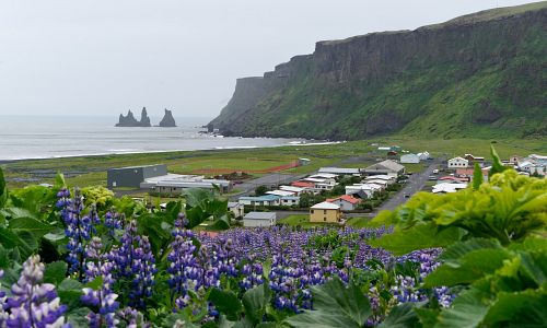  Jedná se o nejvlhčí část Islandu