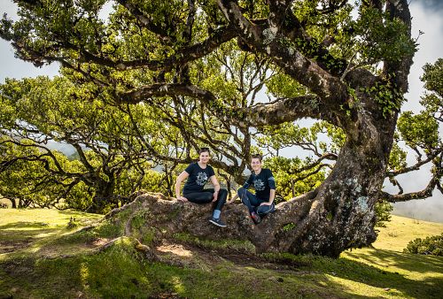 To nejlepší z Madeiry + OSTROVNÍ GASTRONOMIE + VÝLETNÍ PLAVBA NA PORTO SANTO 