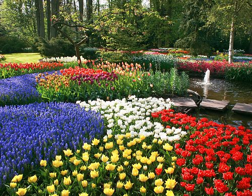 To nejlepší z Amsterdamu + KVĚTINOVÁ ZAHRADA KEUKENHOF 