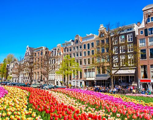 To nejlepší z Amsterdamu + KVĚTINOVÉ KORZO 