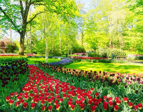 Velikonoční Amsterdam + KVĚTINOVÁ ZAHRADA KEUKENHOF + SLAVNÁ MUZEA 