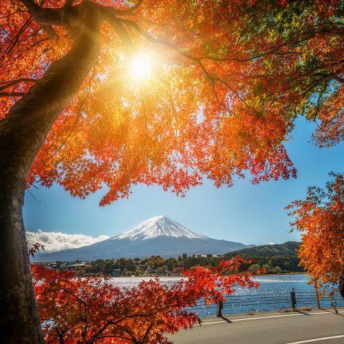 Návštěva japonského venkova v barvách podzimu