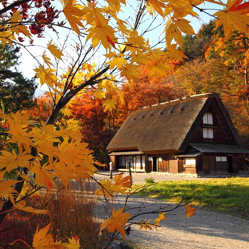 Návštěva japonského venkova v barvách podzimu