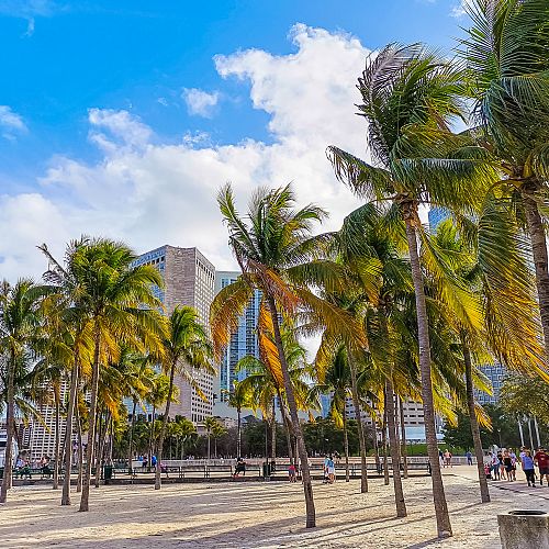 Odpočinek na plážích na Miami Beach