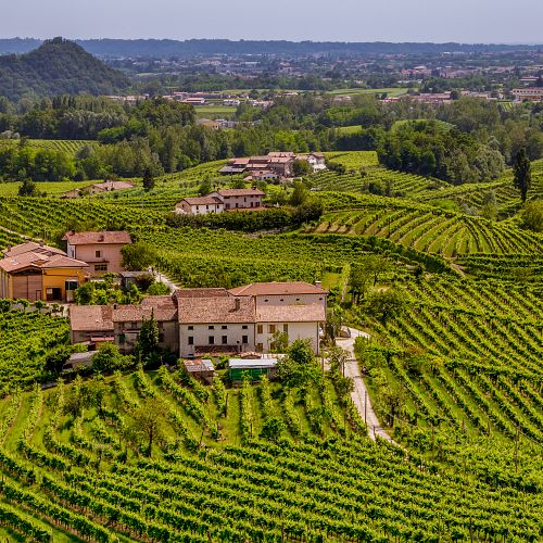 Degustování Prosecca – vína i regionu