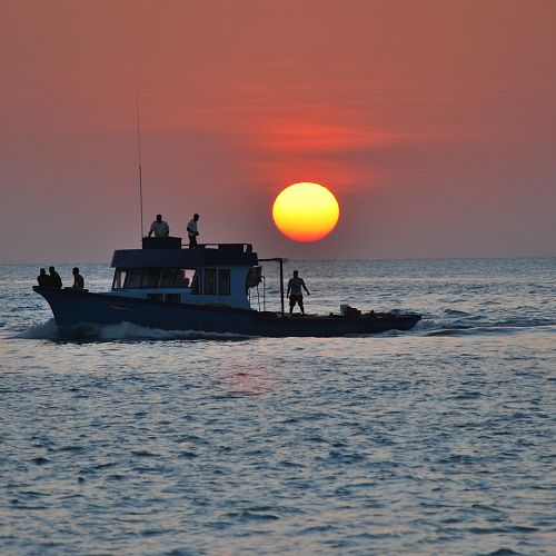 Rybaření při západu slunce a grilování ryb na pláži