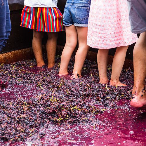 Ochutnávka vína i tance na vinobraní