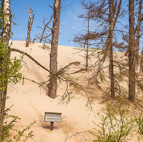 Projížďka/procházka písečnými dunami na Lebě