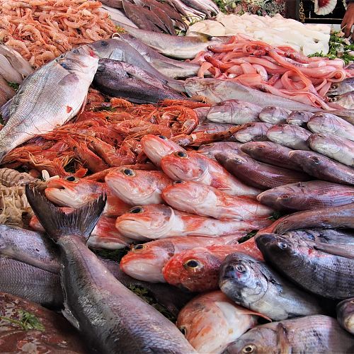 Sbírání voňavých vzpomínek na rybím trhu v Essaouiře
