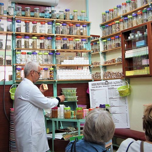 Návštěva berberské lékárny