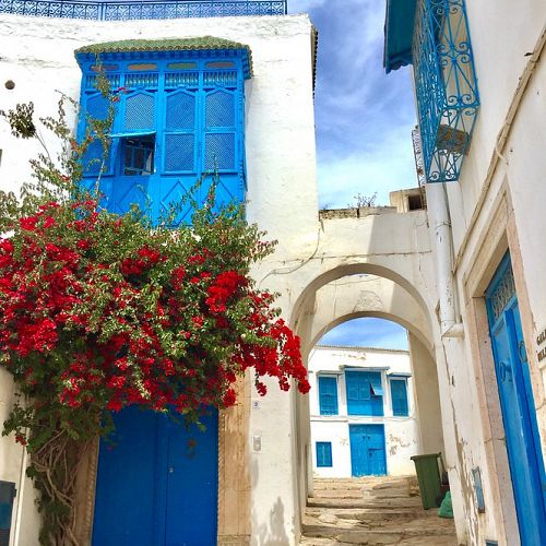Prozkoumání modro-bílého městečka Sidi Bou Said