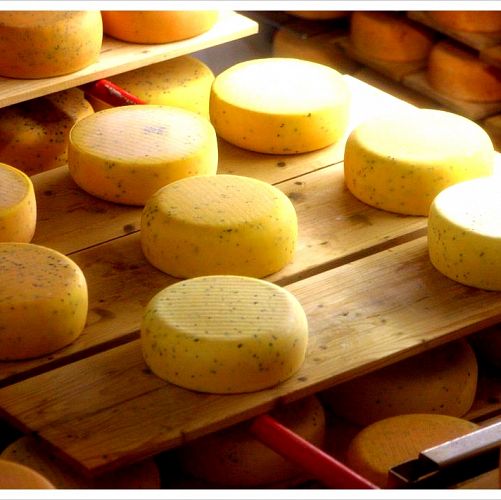 Ochutnávka sýrů od mnichů v klášteře