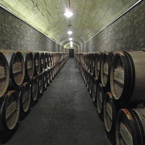 Degustace vína Rioja