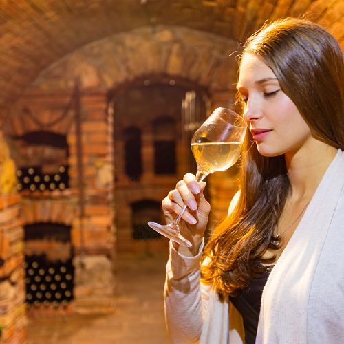 Prohlídka vinohradu s ochutnávkou místního vína