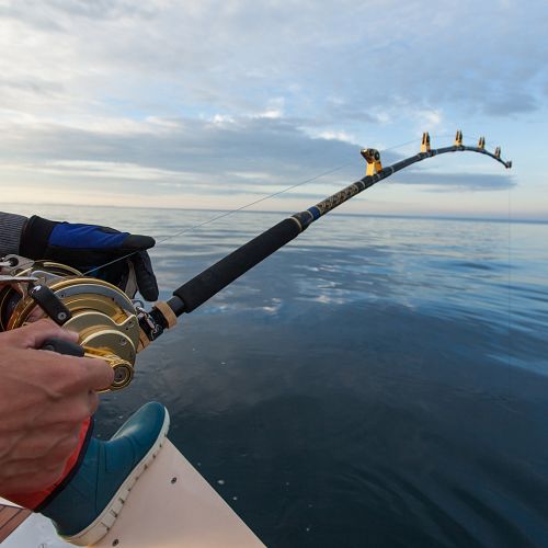 Rybaření a grilování na lodi