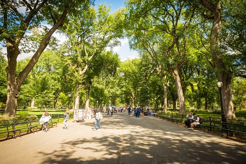 Central Park jako vždy plný života