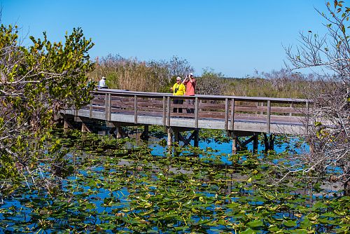 Naši cestovatelé na prohlídce národního parku Everglades