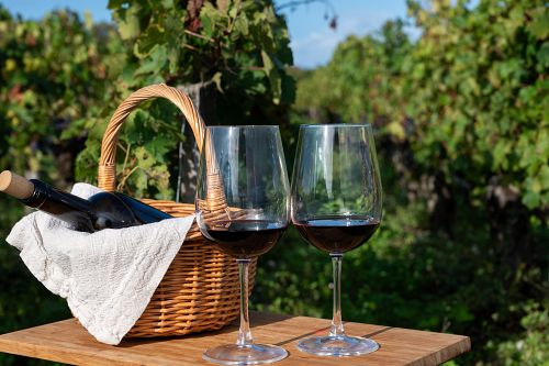 Degustace vína Cassis