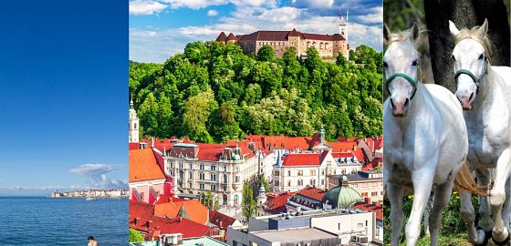 LAST CALL NA AUTOBUSOVÉ ZÁJEZDY: Zážitky z Polska, Švýcarska i Slovinska jsou připraveny k vyzvednutí!