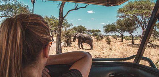 NOVINKA: Poznejte kouzlo Zanzibaru bez davů turistů… Divočina, safari, ochutnávka zdejšího koření a relax na bílých plážích