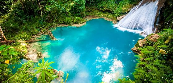 NOVINKA: Jamajka pro všechny smysly – kolibříci, svítící laguna i nejstarší palírna rumu