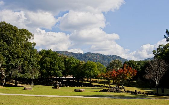 Park Nara-koén: místo s velkou koncentrací památek a atrakcí města Nara