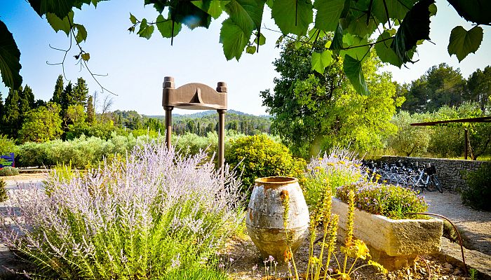 To nejkrásnější z Provence + AZUROVÉ POBŘEŽÍ