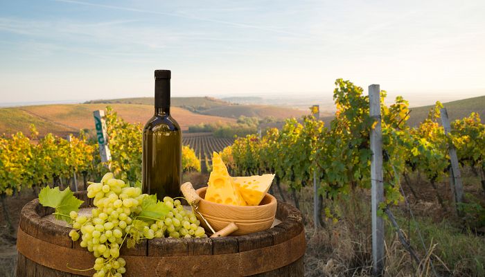 Kouzlo hledání lanýžů a toskánská vína + ŠIKMÁ VĚŽ V PISE + FLORENCIE