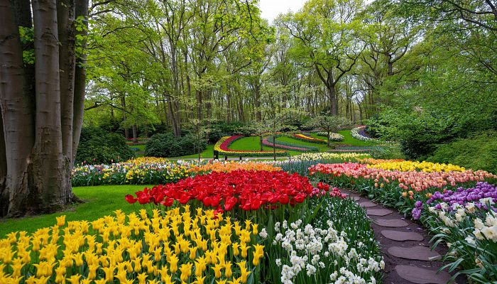 Velikonoční Amsterdam + KVĚTINOVÁ ZAHRADA KEUKENHOF + SLAVNÁ MUZEA