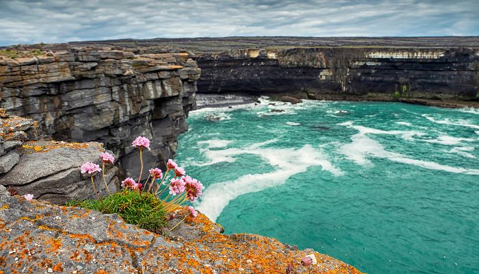 Okruh Irskem + NÁRODNÍ PARK BURREN + TAJEMNÝ POLOOSTROV DINGLE