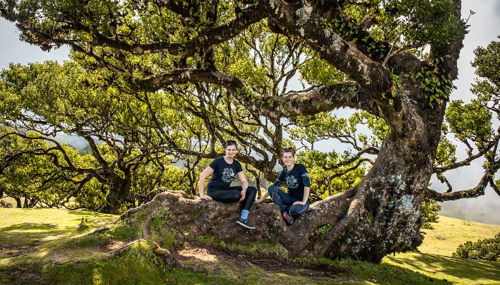 To nejlepší z Madeiry + OSTROVNÍ GASTRONOMIE + VÝLETNÍ PLAVBA NA PORTO SANTO